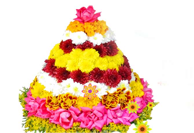 aligina bathukamma festival celebrations latest telugu breaking news