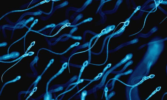 Drastically decreasing sperm count in men