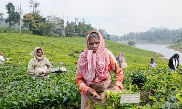 1.25 lakh crore to the Ministry of Agriculture