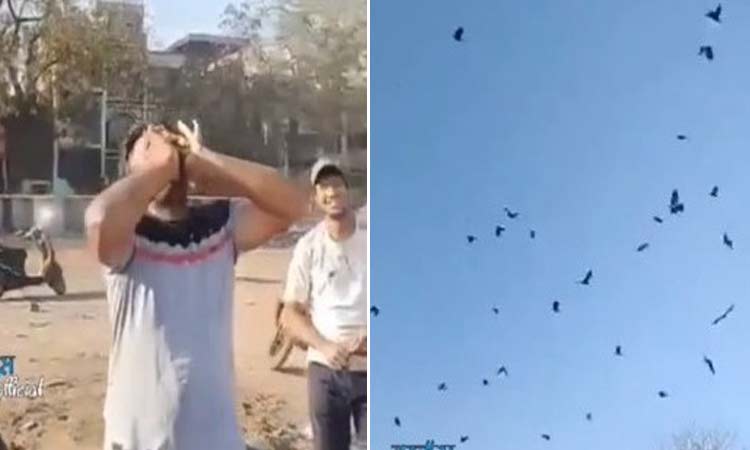 Crow Man Video Viral