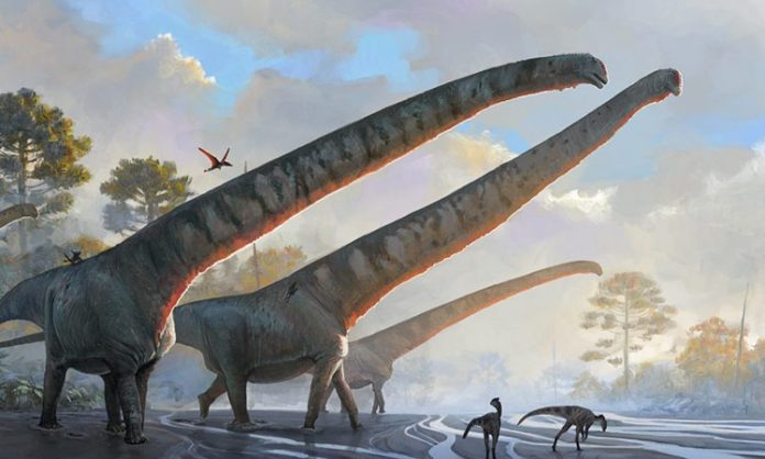 Dinosaur with neck length of 15 meters