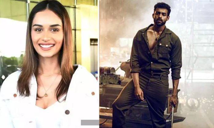 Manushi Chhillar joins VT13 Team