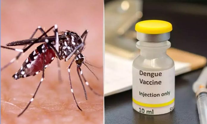 Dengue virus vaccine to be available soon