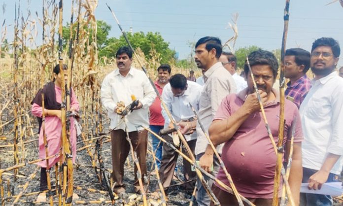 Compensation should be given for the burnt crop