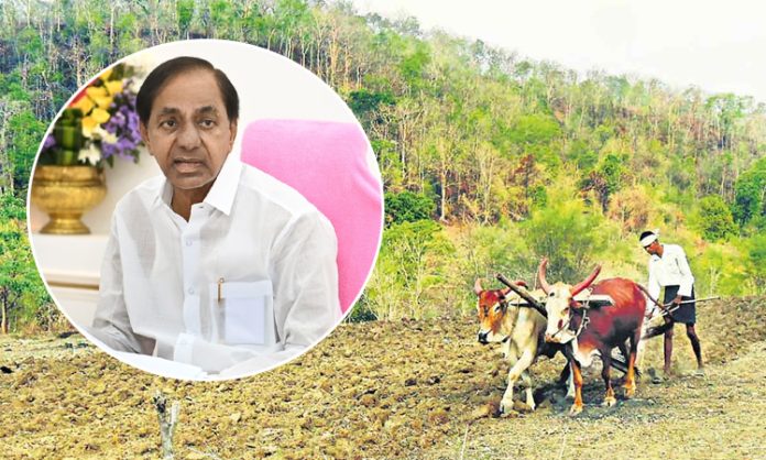 CM KCR will distribute pattas for podu land