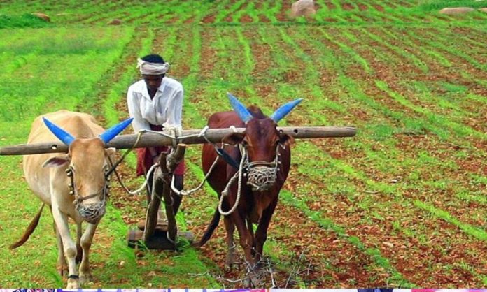 Where is double income in agriculture: Niranjan Reddy