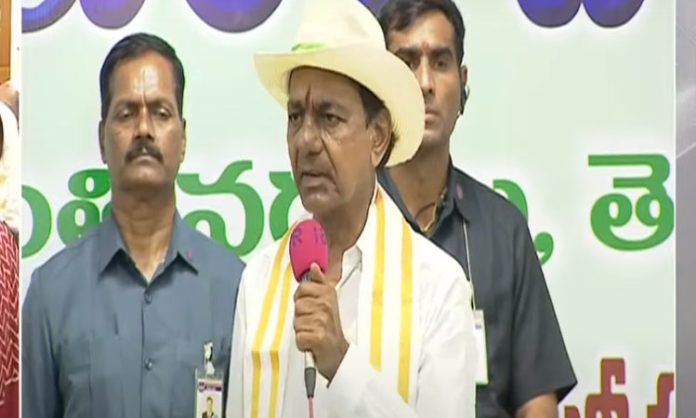 CM KCR who distributed podu pattas to the tribals