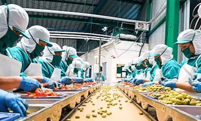 Food Processing Units in every district: CM KCR