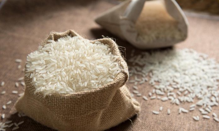 Govt rice procurement reaches 55.8 million tonnes