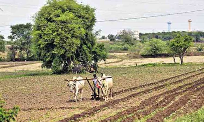 Release of alternative crop plan for Kharif season