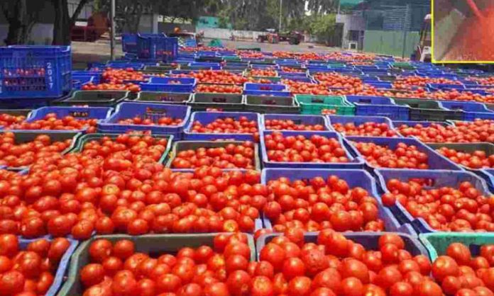 Tomatoes that flooded the markets