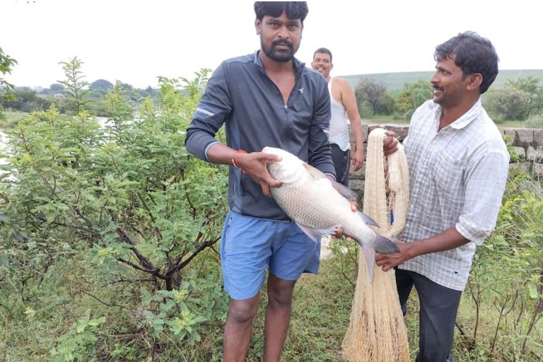 కూడవెల్లి వాగులో జలకళ