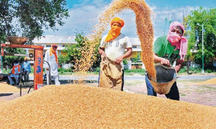 EC break for grain purchases