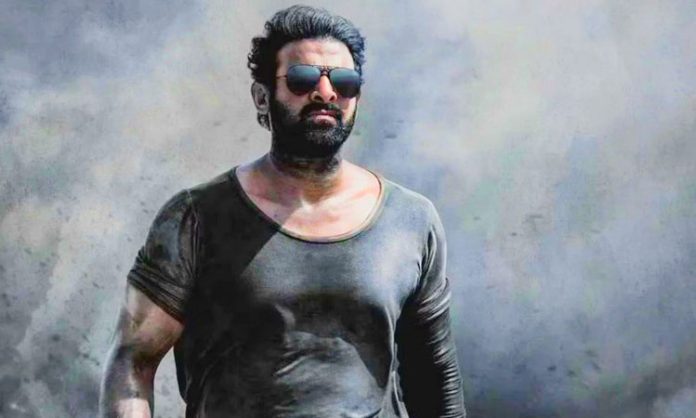 Prabhas Salaar box office collection