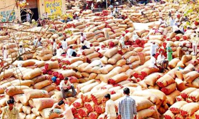 Chilli poured into the Khammam market