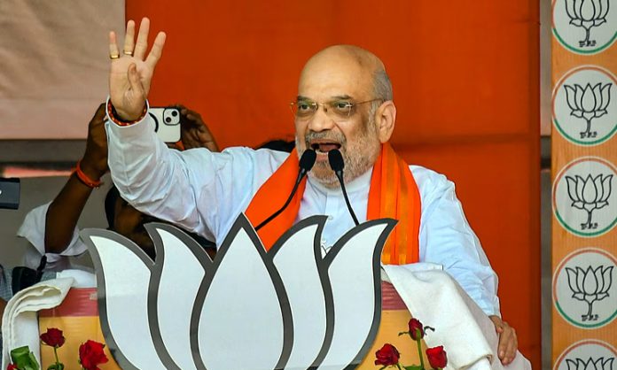 BJP Will win 310 seats after 5 phases: Amit Shah