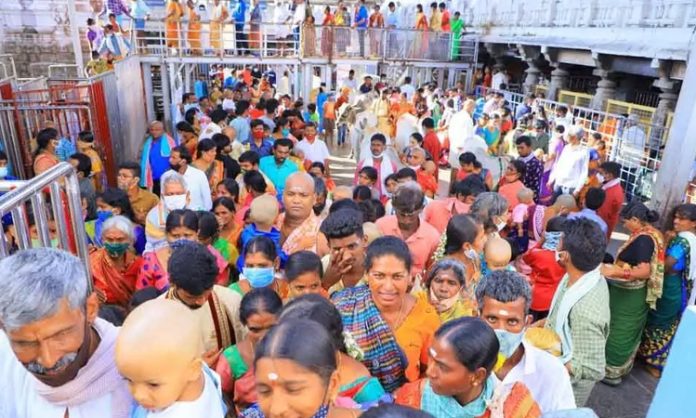 Huge Devotees visit Vemulawada Rajanna Temple