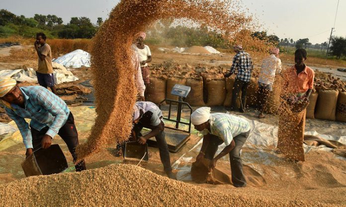 Telangana Govt Record in grain purchases