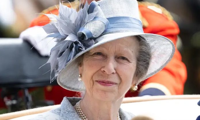 Princess Anne suffers minor injuries