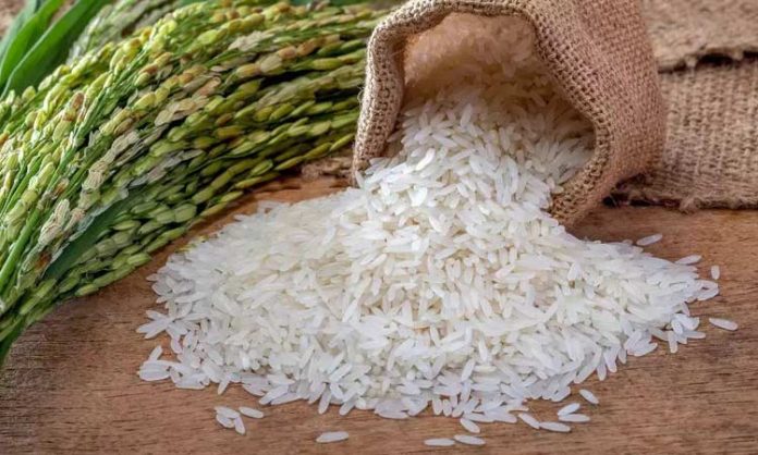 Export policy for small rice