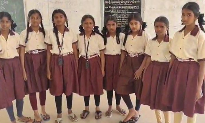 Rats bitten 12 girls in Medak