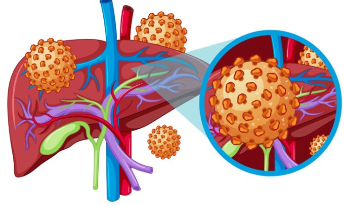 Hepatitis b treatment in telugu