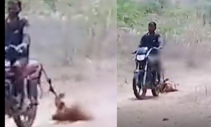 Rajasthan man drags wife behind bike