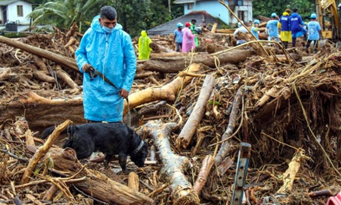 Wayanad Landslide Tragedy