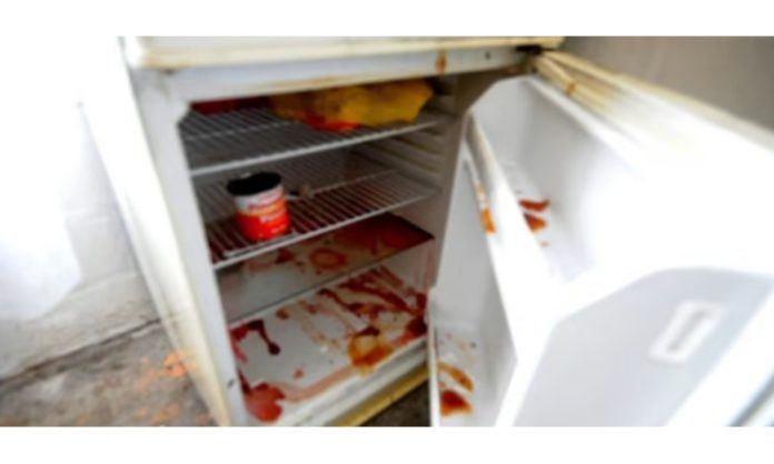 Dead body parts found in refrigerator