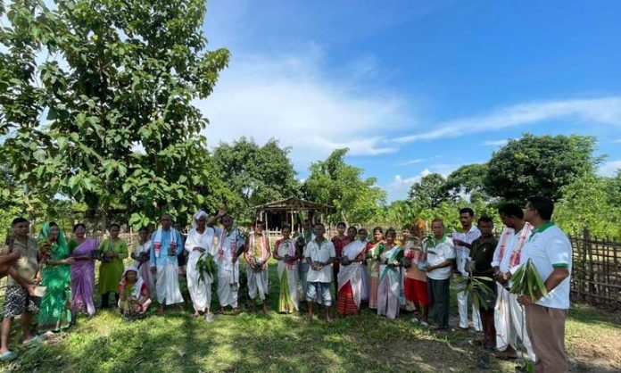 Green India Challenge in Assam