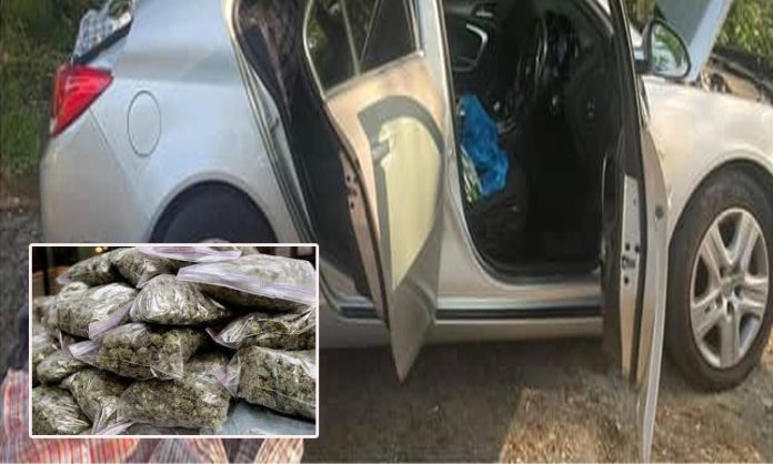 cannabis found in car