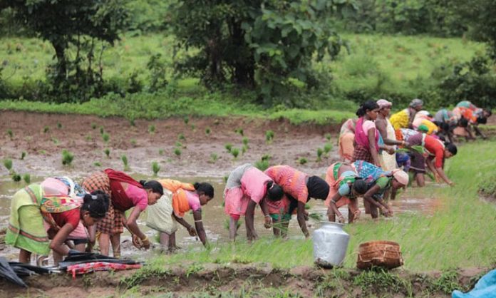 Increasing agricultural labor decreasing rural employment