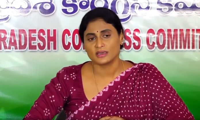 YS Sharmila vs vijaya sai reddy