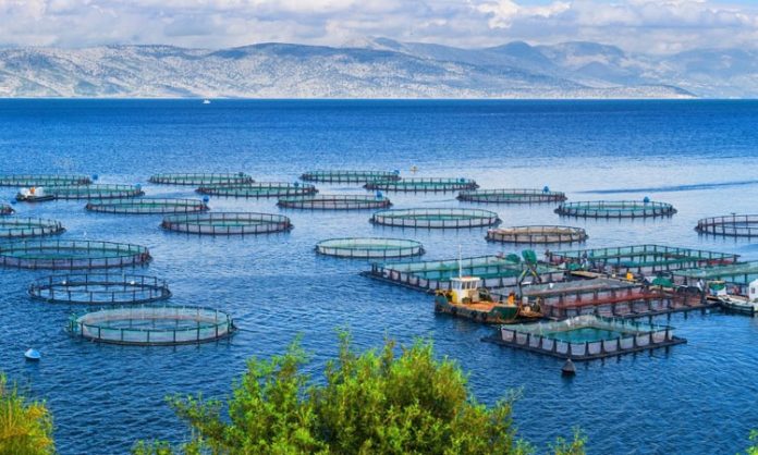 fisheries benefit from AI