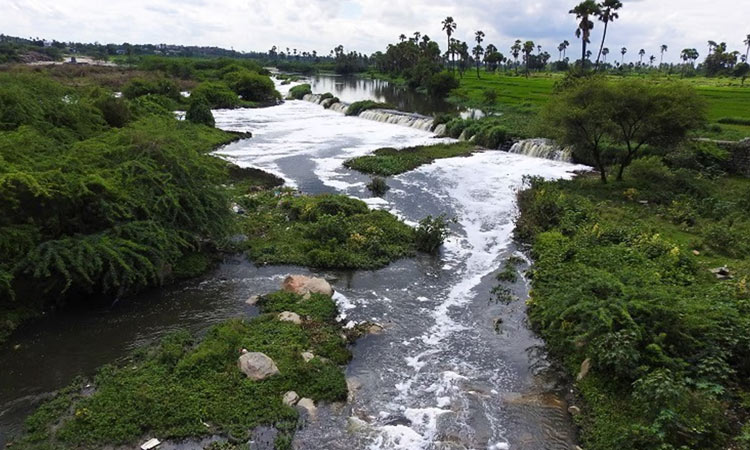 More pollution in Musi river