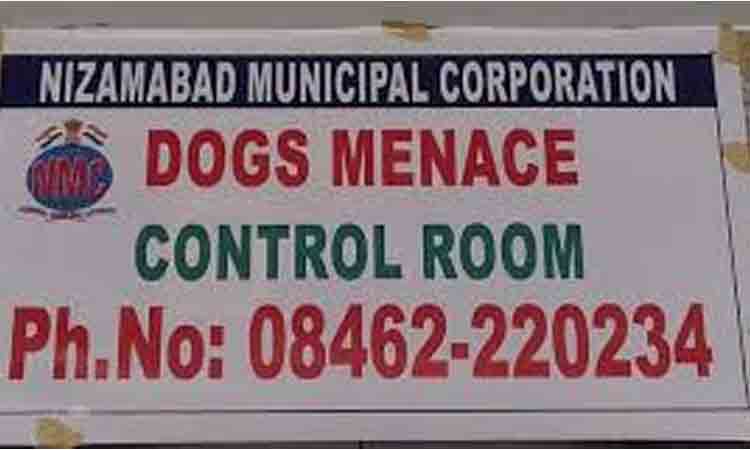 Nizamabad Dog..