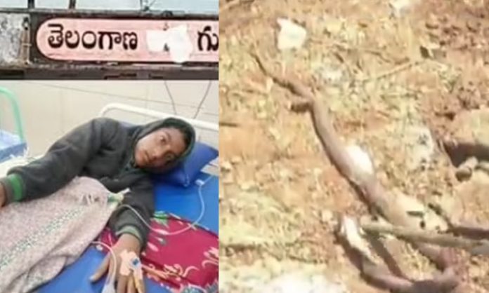 Snake bite student in Jagtial