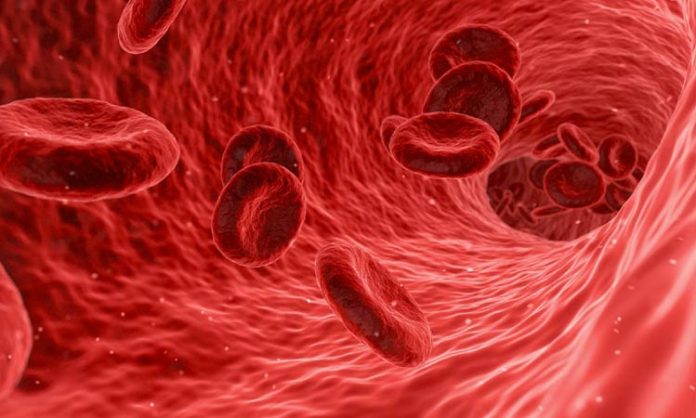 Anemia symptoms in telugu