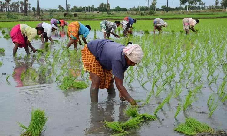 రైతు భరోసా కీలక అప్డేట్.. మార్గదర్శకాలు ఇవే