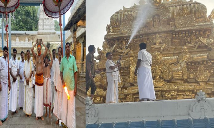 Koil Alwar Thirumanjanam at Sri Govindarajaswamy Temple